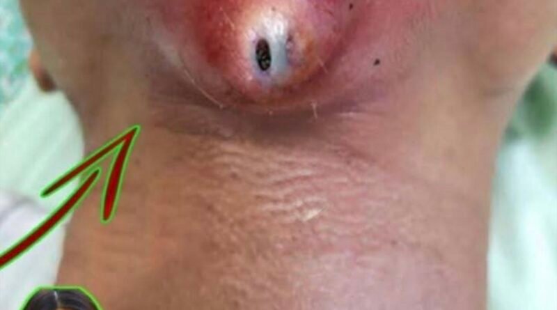 Study Habits That Use Color Coding: Brighten Your Learning Routine